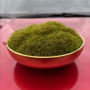 Gold Bowl with Green Moss arrangement